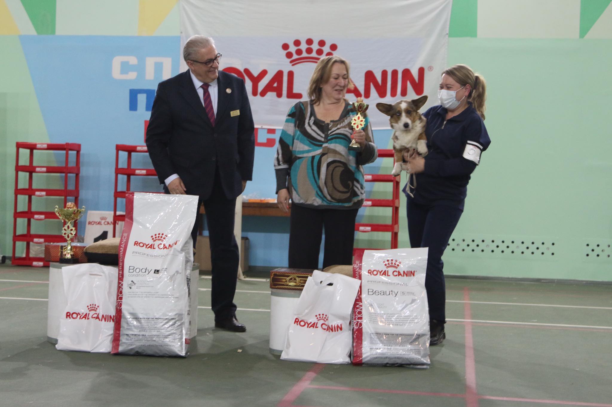 27.03.2021 город Воронеж, выставка собак ЧРКФ клуб «Созвездие» Эксперт Ирина Швец